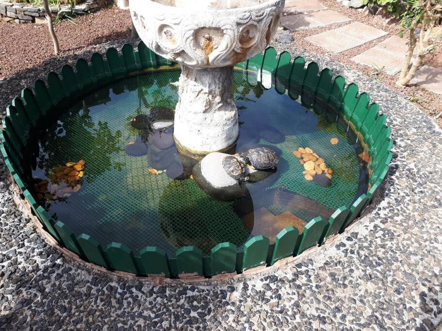 Apartamento Tranquilo En Una Casa Con Jardin La Laguna  Kültér fotó