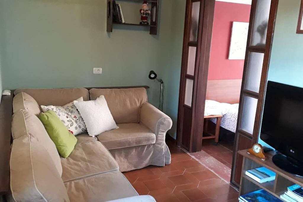 Apartamento Tranquilo En Una Casa Con Jardin La Laguna  Kültér fotó