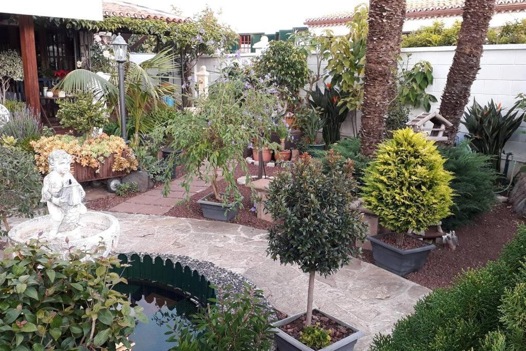 Apartamento Tranquilo En Una Casa Con Jardin La Laguna  Kültér fotó