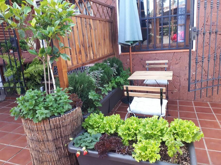 Apartamento Tranquilo En Una Casa Con Jardin La Laguna  Kültér fotó